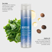 Joico Moisture Recovery Moisturizing Shampoo