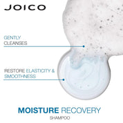 Joico Moisture Recovery Shampoo & Conditioner Duo Set