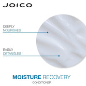 Joico Moisture Recovery Shampoo & Conditioner Duo Set