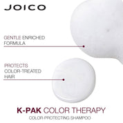 Joico K-PAK Color Therapy Shampoo and Conditioner Duo Set