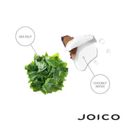 Joico HydraSplash Hydrating Shampoo & Conditioner Duo Set