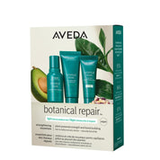 Aveda Botanical Repair Light  Discovery Set