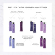 Hair care product selection guide with purple bottles on a white background