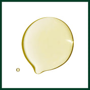 Aveda Dry Remedy Daily Moisturizing Oil for Dry Brittle Hair