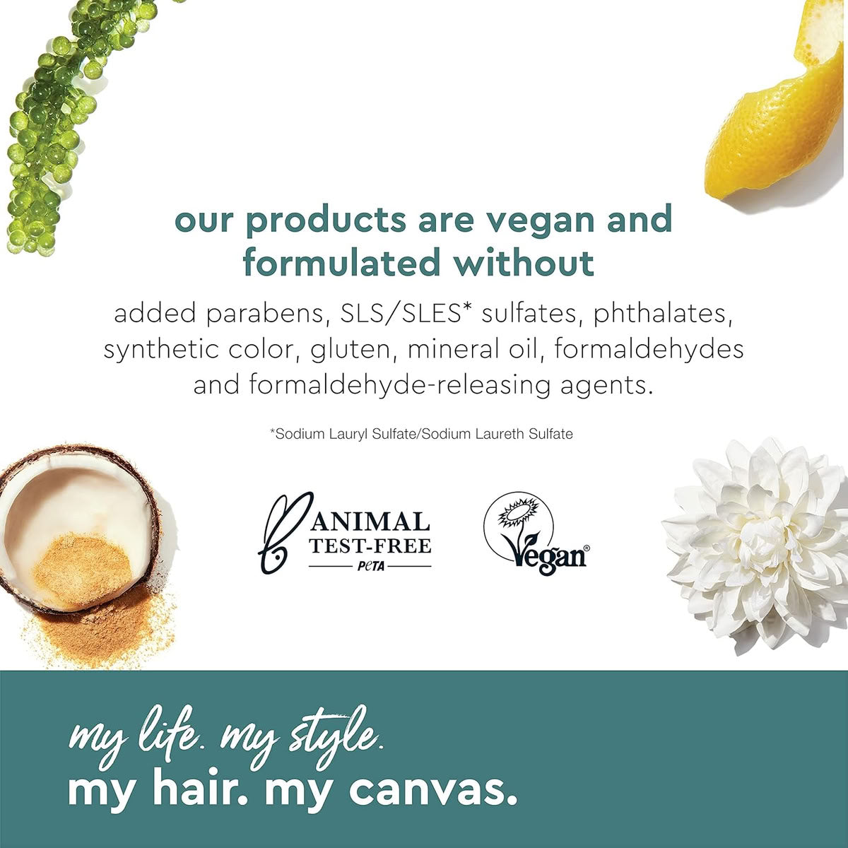 Alterna My Hair My Canvas Shine On Defining Foam