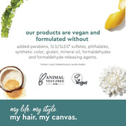 Alterna My Hair My Canvas Shine On Defining Foam
