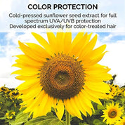 ColorProof Baobab Heal & Repair Shampoo and Conditioner